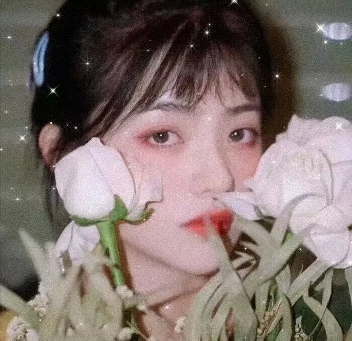 失踪的女中学生